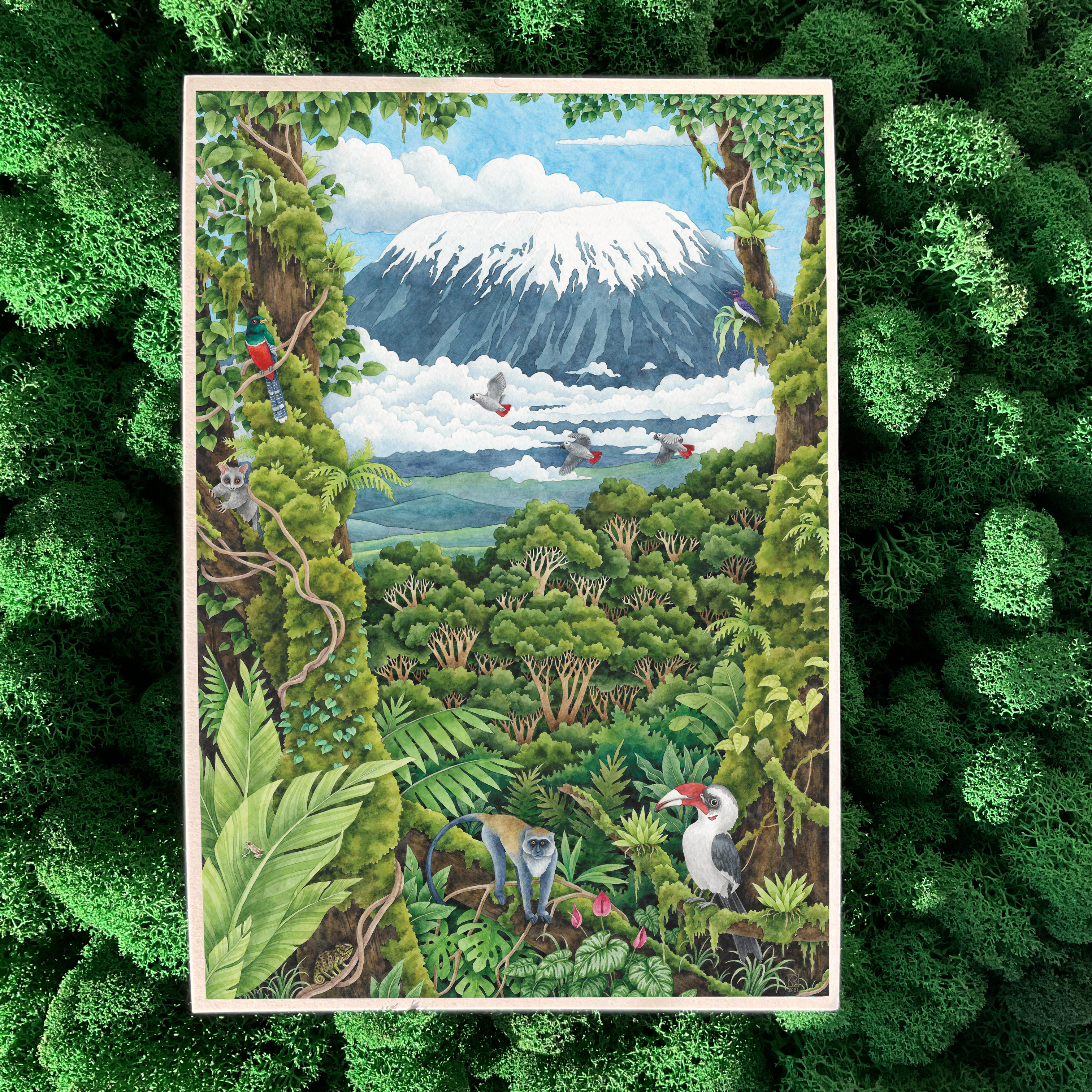 Постер А5 «Килиманджаро»