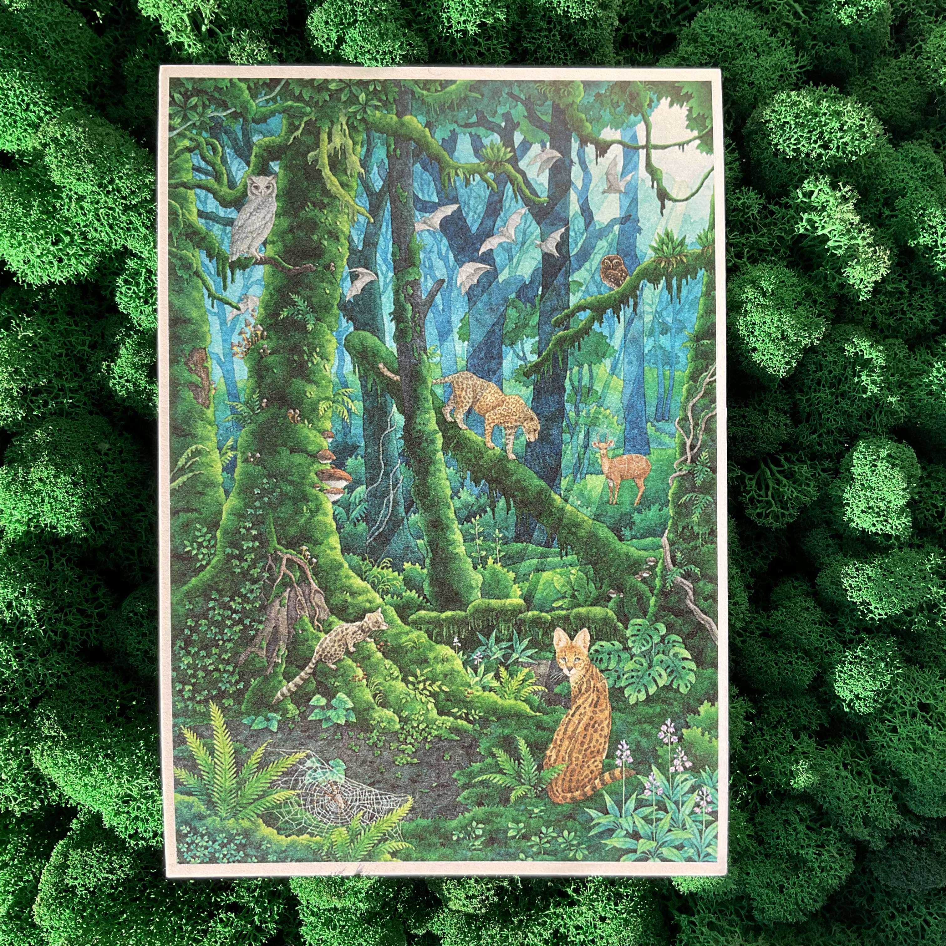 Постер А5 «Ночь Танзания»