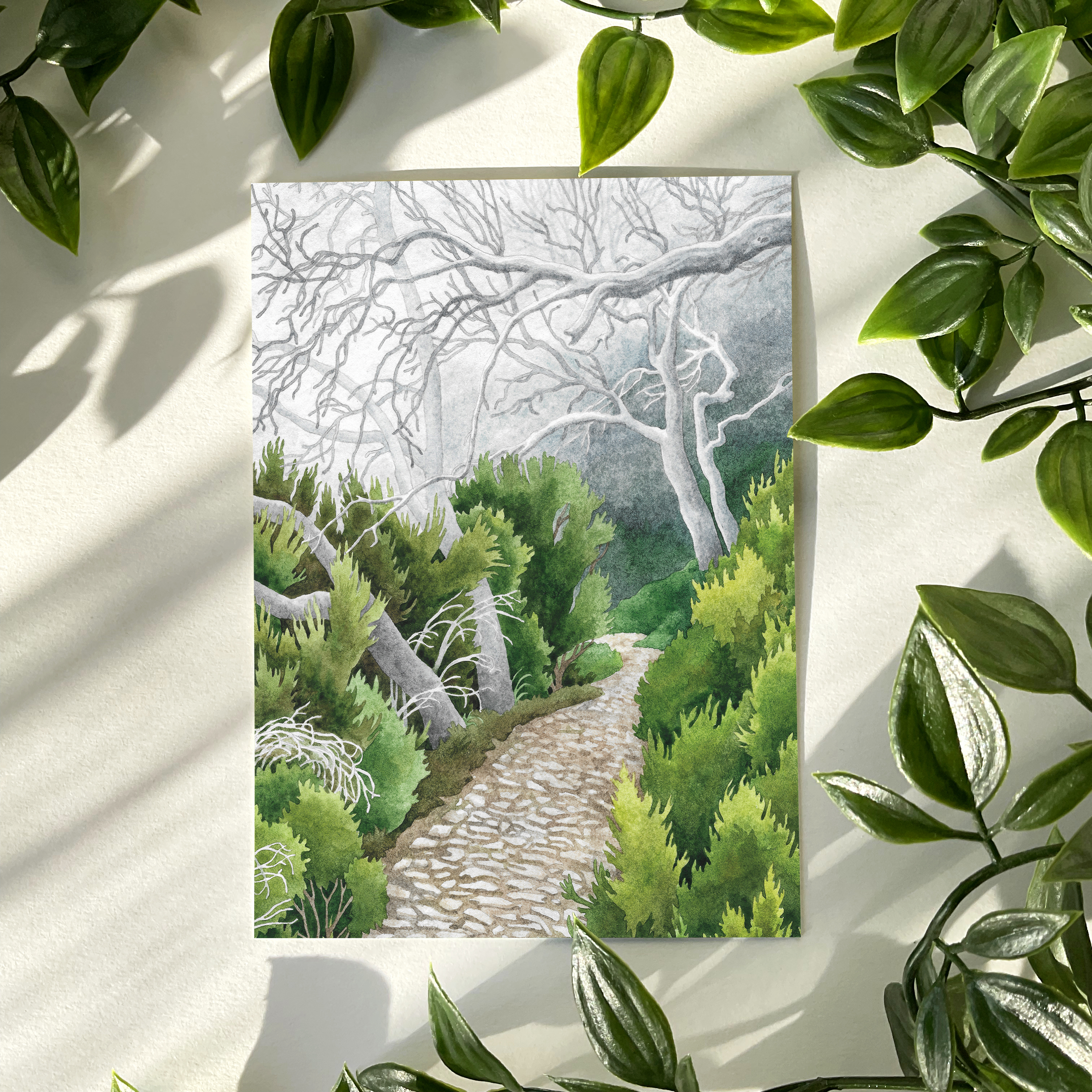 Открытка «Тропинка в тумане»