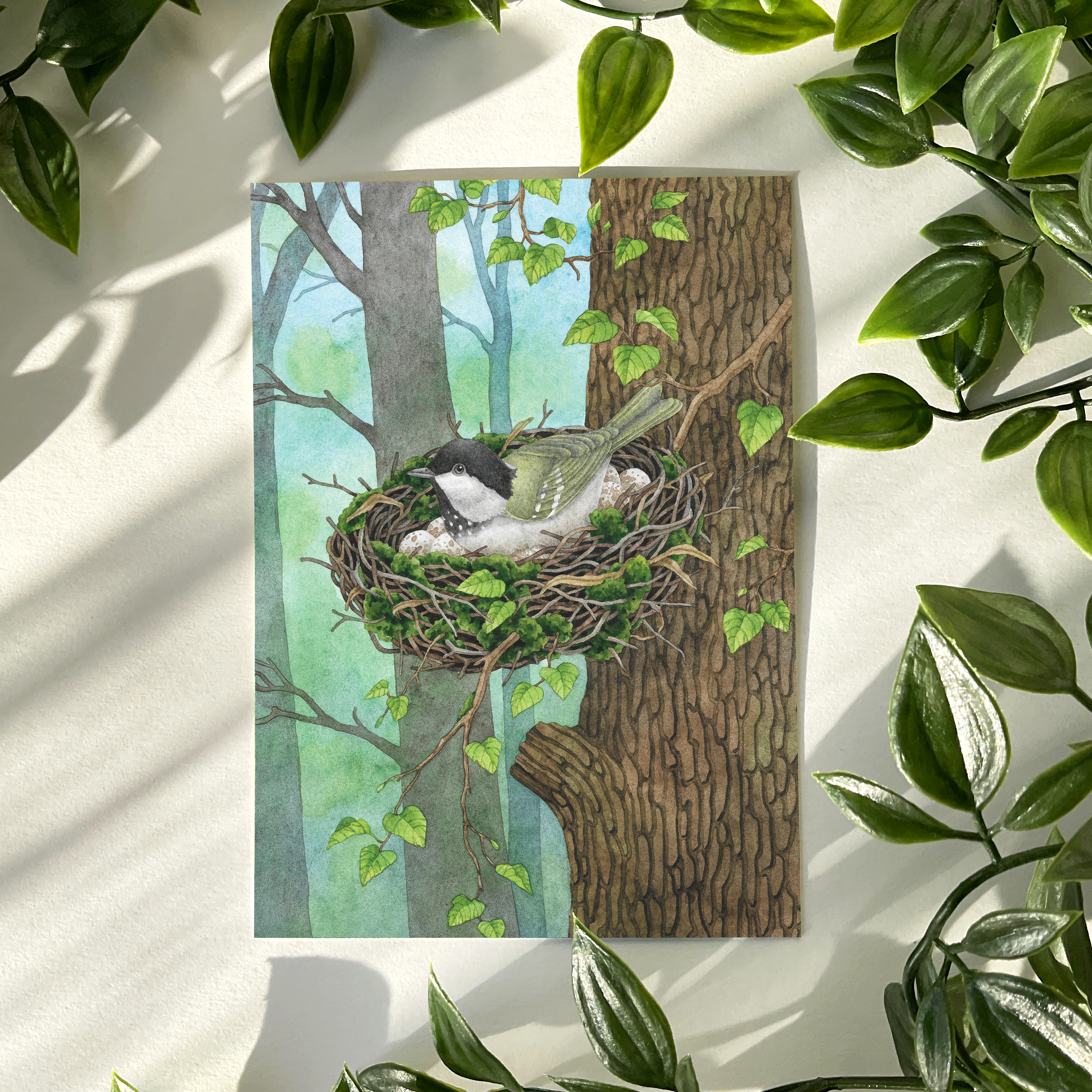 Открытка «Гнездо синички»