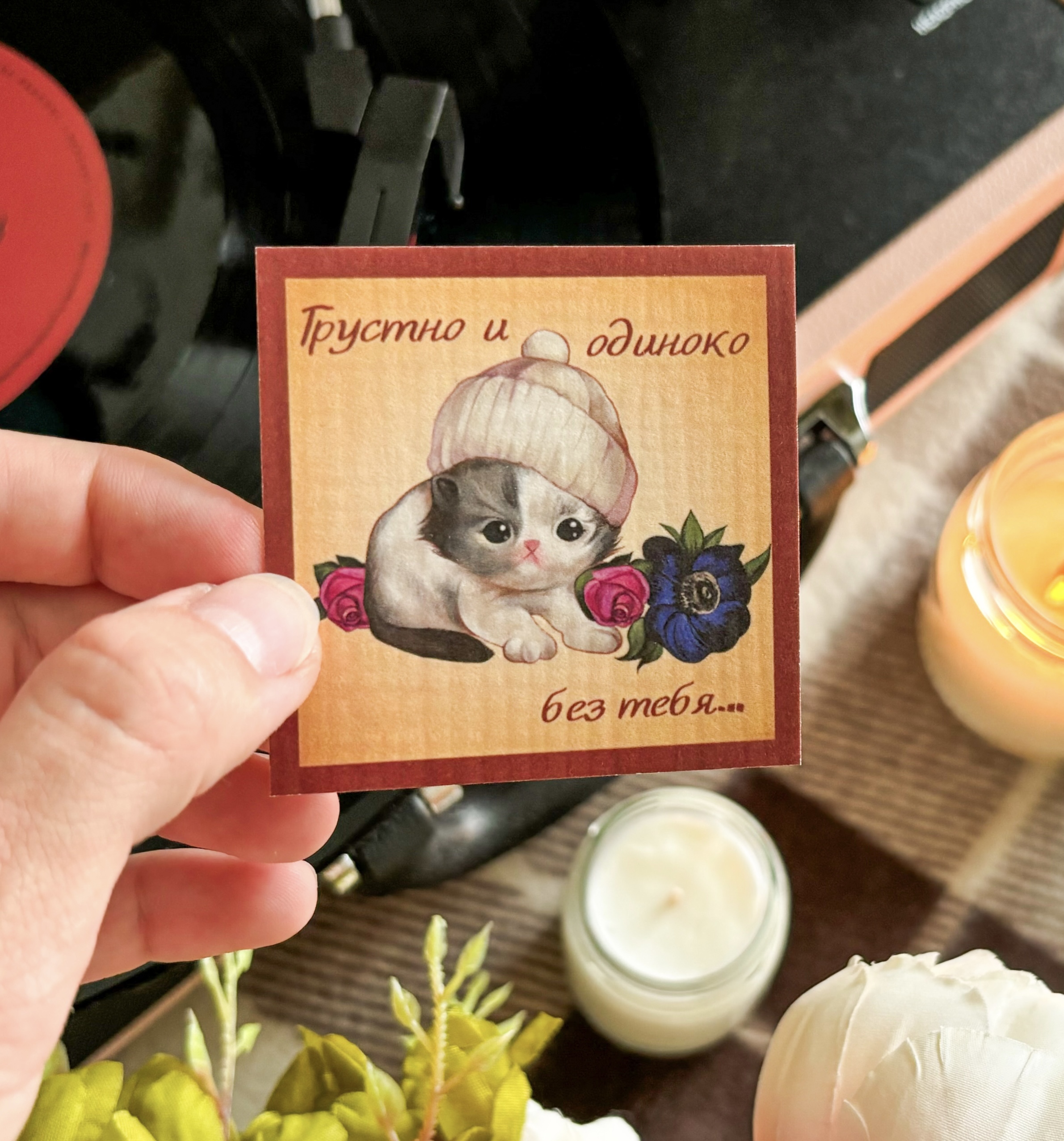 Открытка "Котик в шапке"