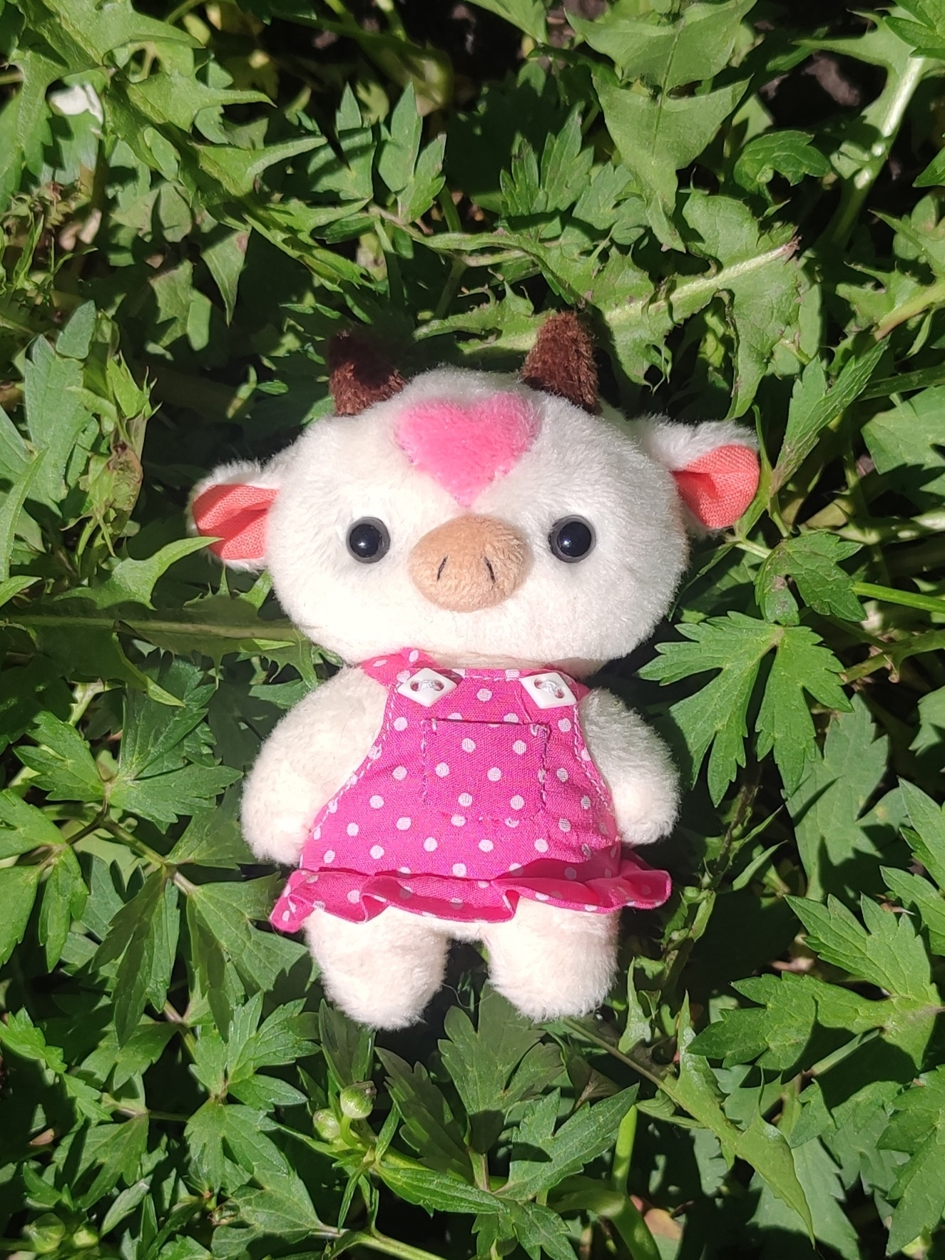 Коровка