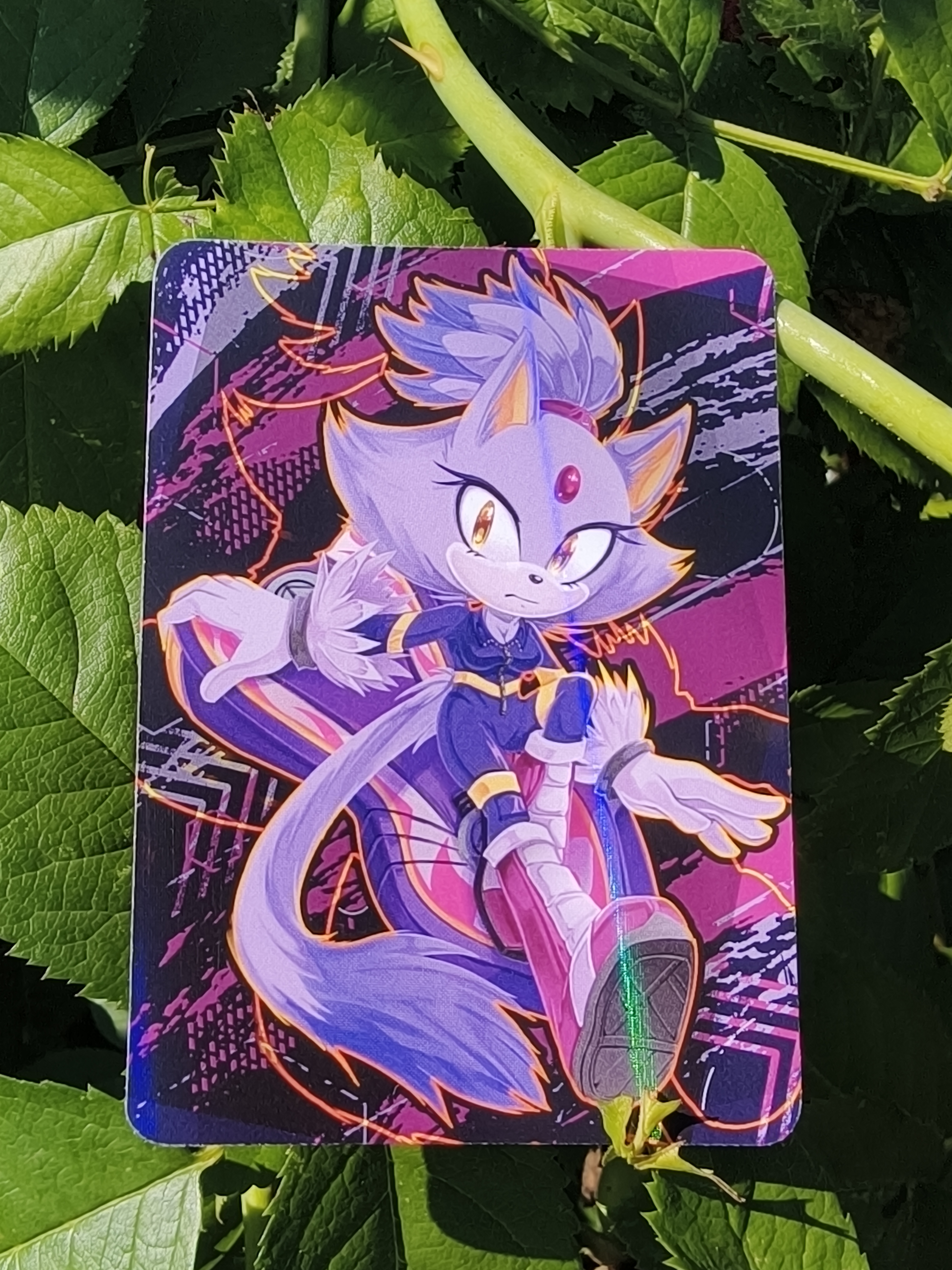 Карточка "Гонщики Соника"/Sonic Riders Блейз