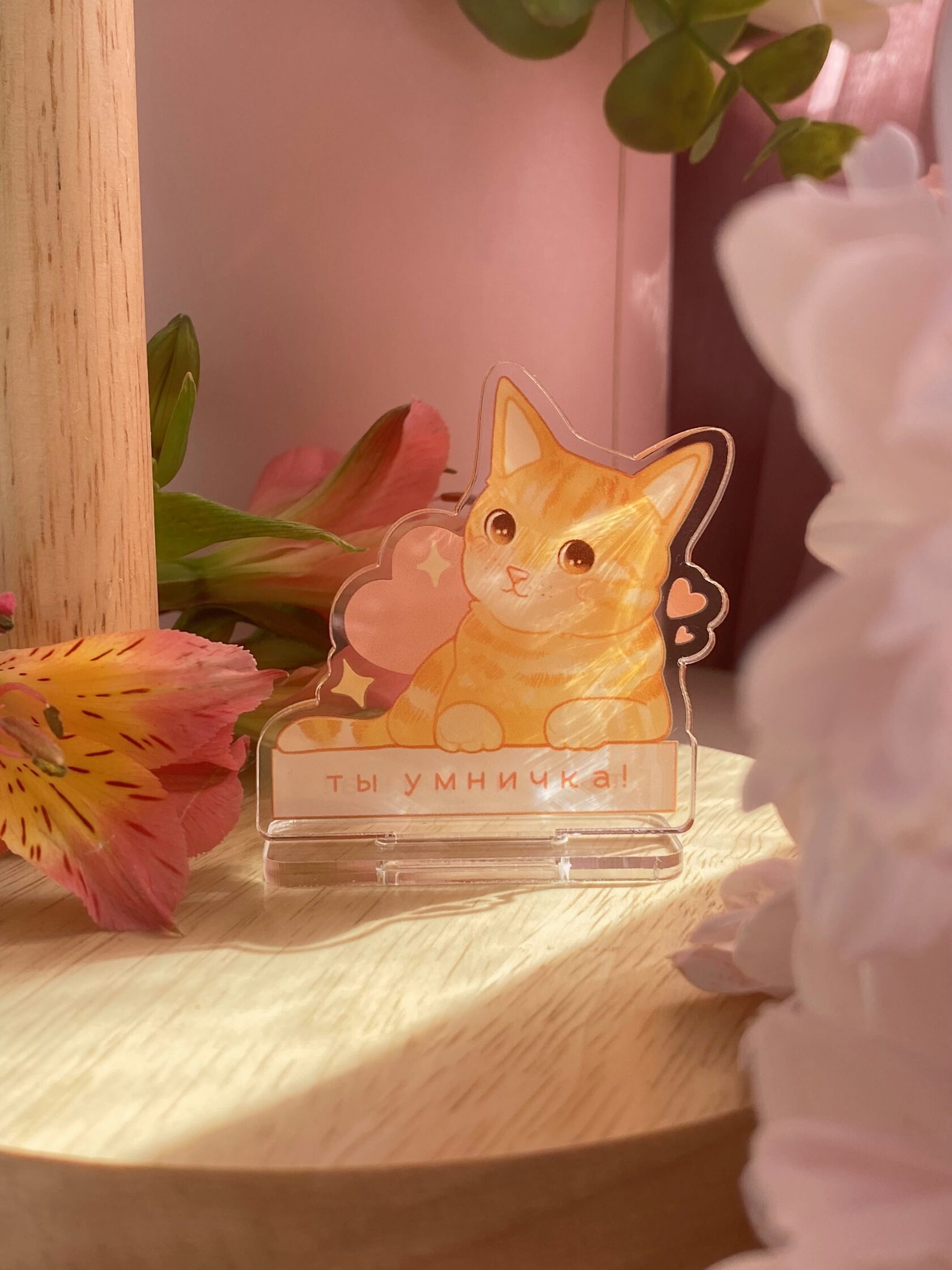 Стенд Котик