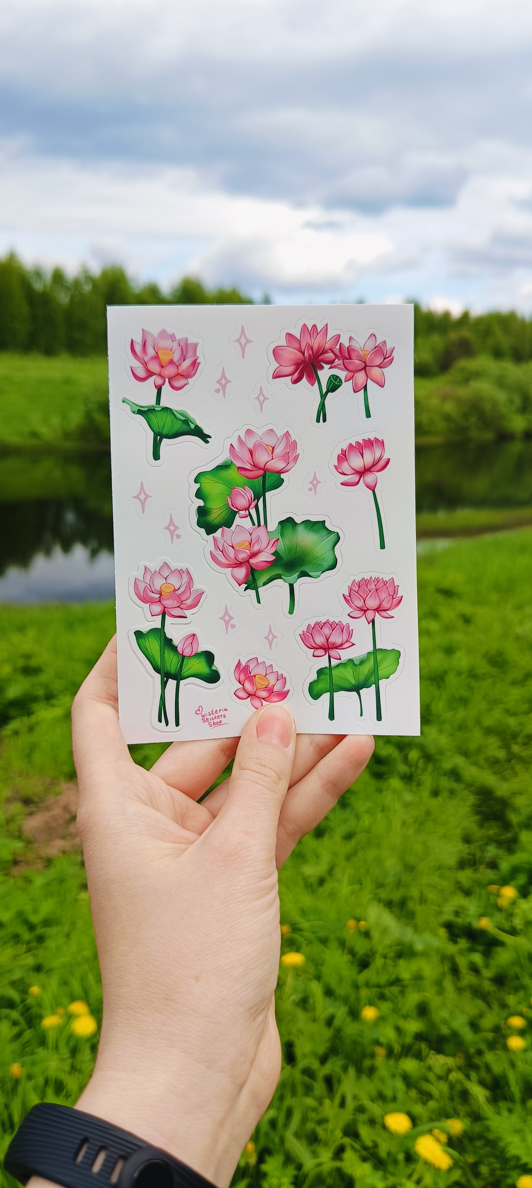 А6 наклейки с лотосами