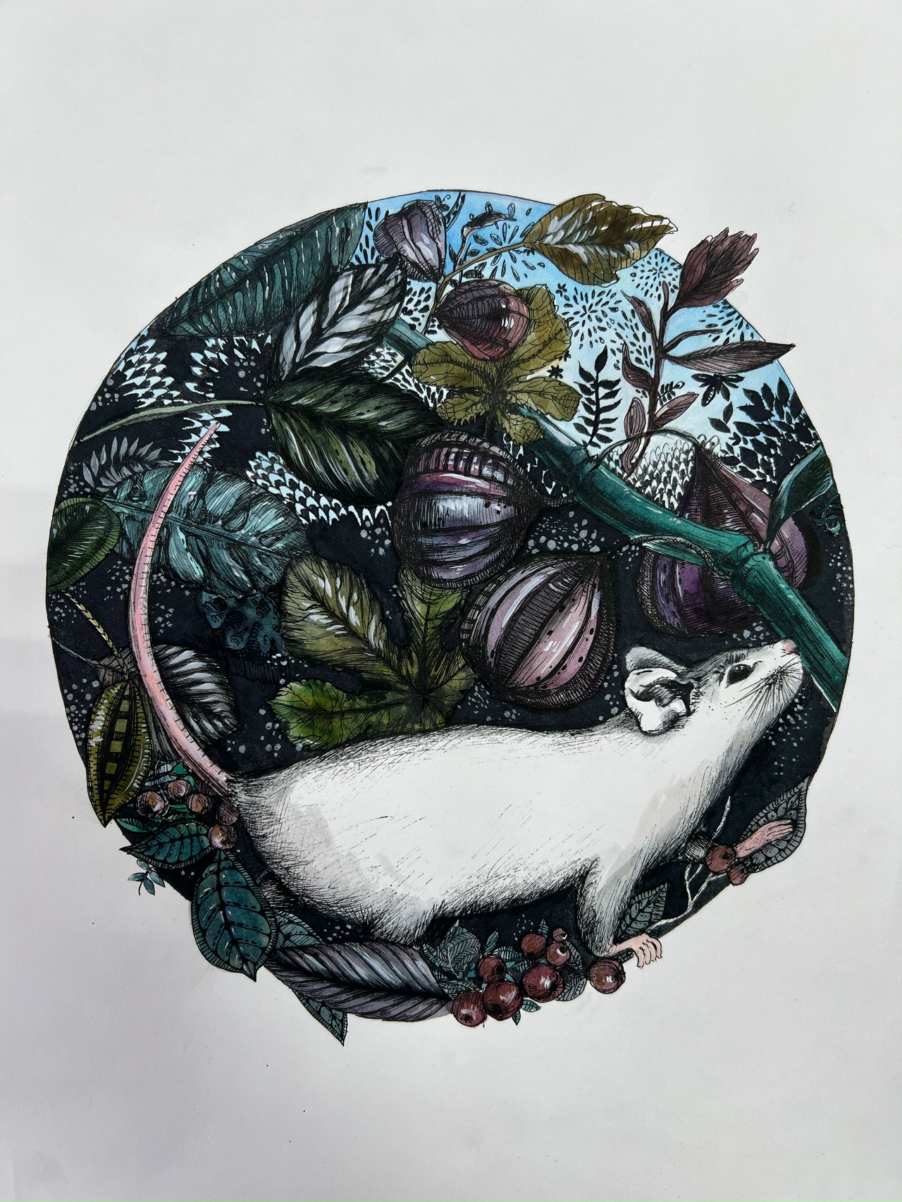 author-1872-2c573610