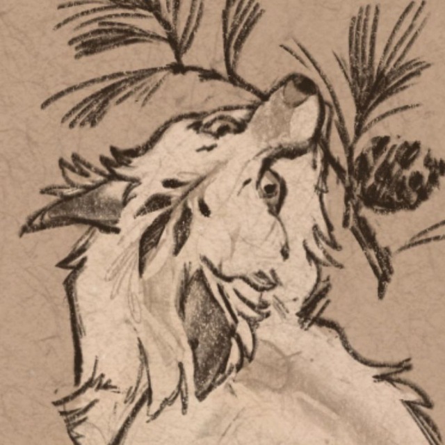 author-1705-3d944c80